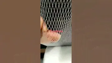 Factory Various Hdpe Plastic Mesh Netting Plastic Net Anti Bird Net