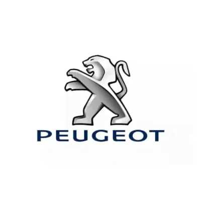 Лобовое стекло для Peugeot 306 3/5D/4D/универсал 6521AGNBL [пятак]