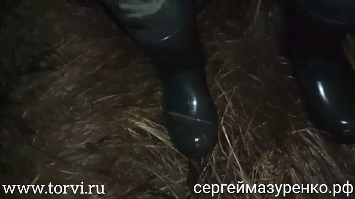 Сапоги TORVI Лиман