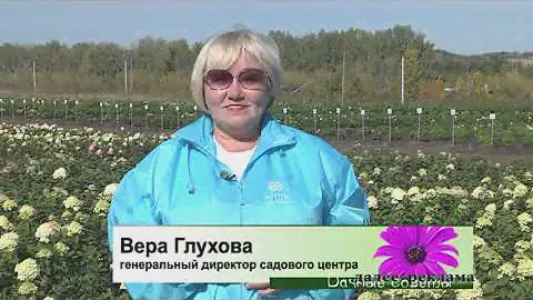 Подборка осенних удобрений для кустарников и хвойных деревьев.