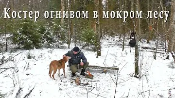 ПВД. Огниво - Как разжечь огонь в мокром лесу?