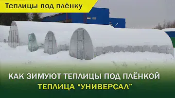 Как зимуют теплицы под плёнкой, если не снимать её на зиму?  Теплица "Универсал" от компании "Воля"