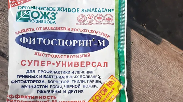 Фитоспорин для профилактики болезней растений. Лучше предотвраить, чем лечить