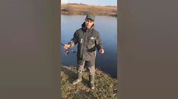 Сапоги Torvi - когда нужны надежные, теплые и практичные сапоги.