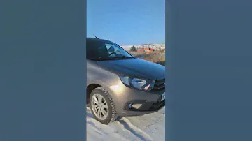 самый красивый цвет кориандр