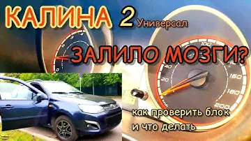 Калина 2 Универсал. Что делать, если залило мозги. Замена ЭБУ с динамичной прошивкой под ЕURO2