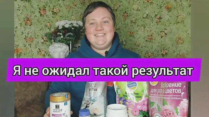 Битва удобрений! Неожиданный результат!